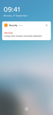 Netatmo Akıllı Karbonmonoksit Alarmı